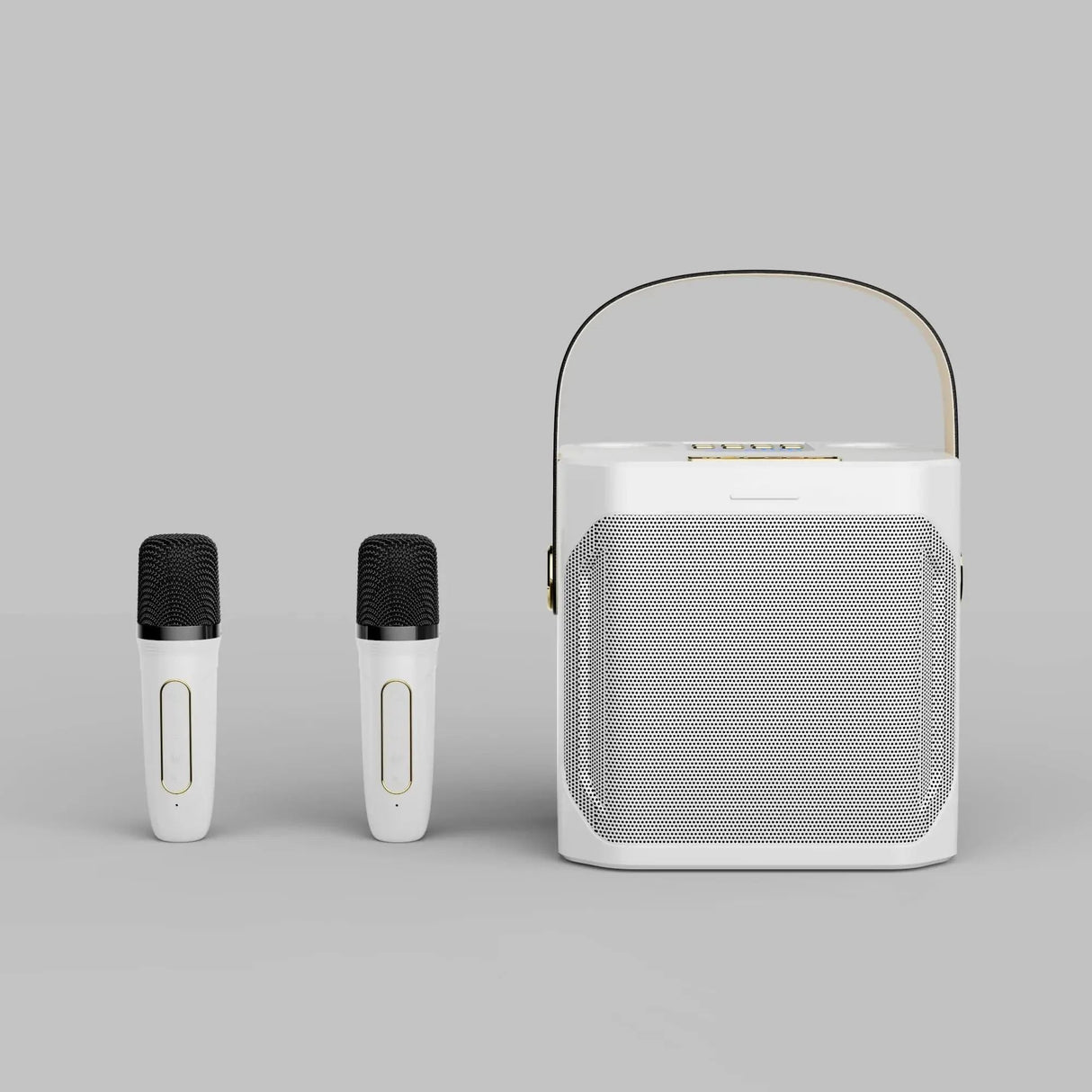 Tragbarer Karaoke Bluetooth Lautsprecher mit 360° Surround und Subwoofer